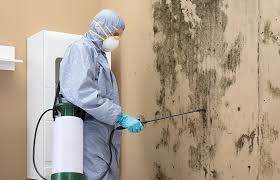 Best Forensic Mold Investigation  in Benton, LA